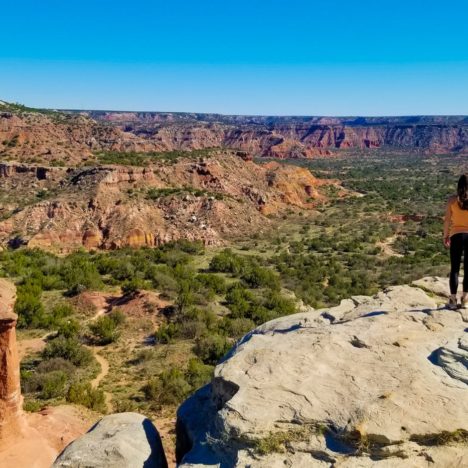The Best Snorkeling Beaches In Virgin Islands National Park